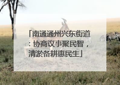 南通通州兴东街道：协商议事聚民智，清淤备耕惠民生