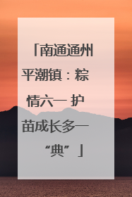 南通通州平潮镇：粽情六一 护苗成长多一“典”