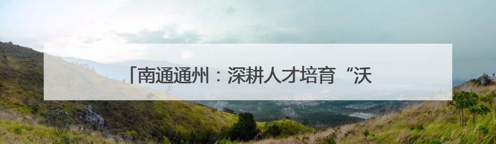 南通通州：深耕人才培育“沃土” 激活青年成长“磁场”