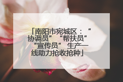 南阳市宛城区：“协调员”“帮扶员”“宣传员” 生产一线助力抢收抢种