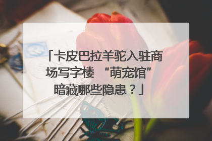 卡皮巴拉羊驼入驻商场写字楼 “萌宠馆”暗藏哪些隐患？