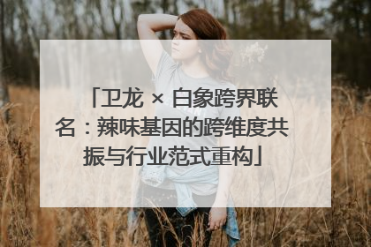 卫龙 × 白象跨界联名：辣味基因的跨维度共振与行业范式重构
