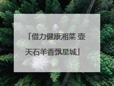 借力健康湘菜 壶天石羊香飘星城