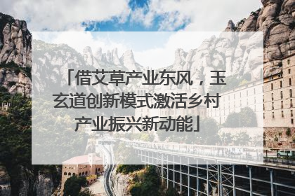 借艾草产业东风，玉玄道创新模式激活乡村产业振兴新动能