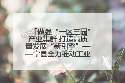 做强“一区三园”产业集群 打造高质量发展“新引擎”——宁县全力推动工业经济提质增效