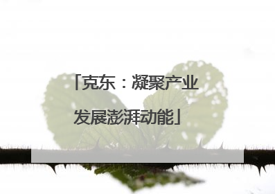 克东：凝聚产业发展澎湃动能