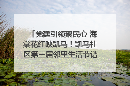 党建引领聚民心 海棠花红映凯马！凯马社区第三届邻里生活节谱写幸福新篇章