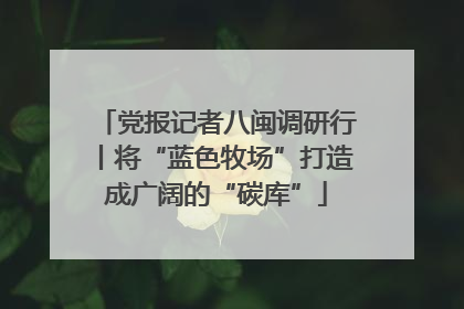 党报记者八闽调研行丨将“蓝色牧场”打造成广阔的“碳库”