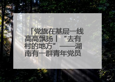党旗在基层一线高高飘扬丨“去有村的地方”——湖南有一群青年党员这样选择