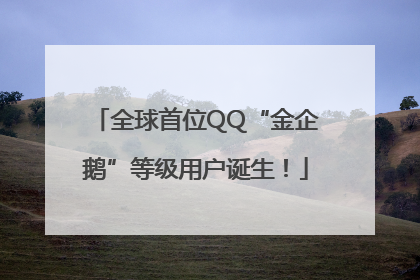 全球首位QQ“金企鹅”等级用户诞生！