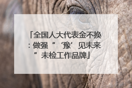 全国人大代表金不换：做强“‘豫’见未来”未检工作品牌