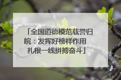全国道德模范载誉归皖：发挥好榜样作用 扎根一线拼搏奋斗