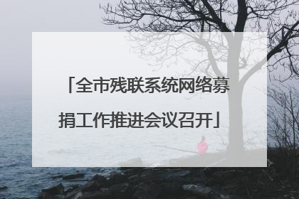 全市残联系统网络募捐工作推进会议召开