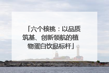 六个核桃：以品质筑基、创新领航的植物蛋白饮品标杆