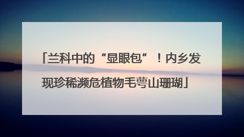 兰科中的“显眼包”！内乡发现珍稀濒危植物毛萼山珊瑚