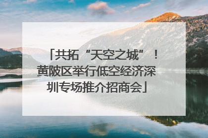 共拓“天空之城”！黄陂区举行低空经济深圳专场推介招商会