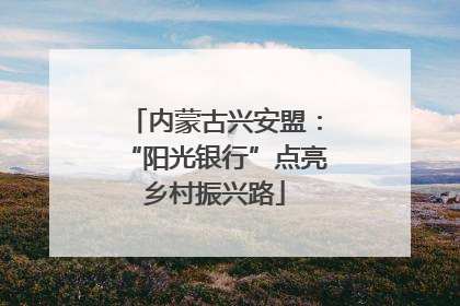 内蒙古兴安盟：“阳光银行”点亮乡村振兴路