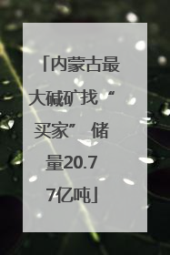 内蒙古最大碱矿找“买家” 储量20.77亿吨