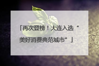 再次登榜！大连入选“美好消费典范城市”