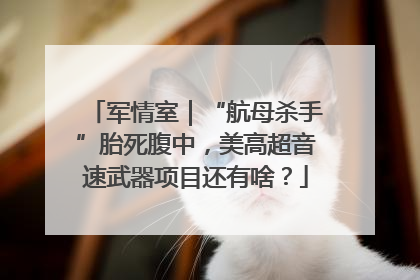 军情室｜“航母杀手”胎死腹中，美高超音速武器项目还有啥？
