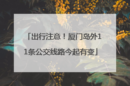 出行注意！厦门岛外11条公交线路今起有变
