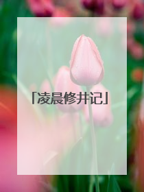 凌晨修井记