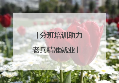 分班培训助力老兵精准就业