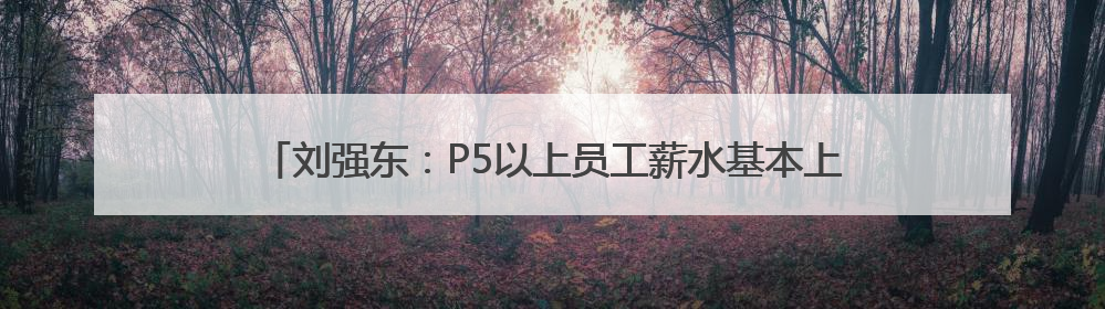 刘强东：P5以上员工薪水基本上都翻倍，“京东从没卖过假货”