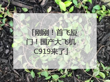 刚刚！首飞厦门！国产大飞机C919来了