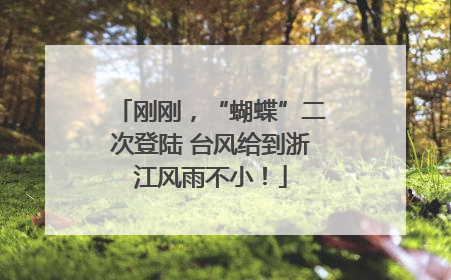刚刚，“蝴蝶”二次登陆 台风给到浙江风雨不小！