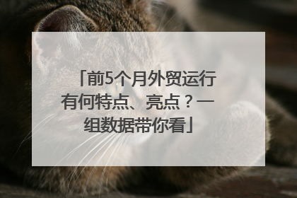 前5个月外贸运行有何特点、亮点？一组数据带你看