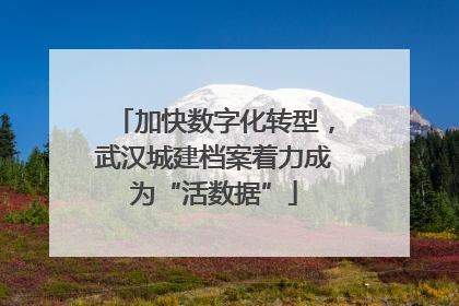 加快数字化转型，武汉城建档案着力成为“活数据”