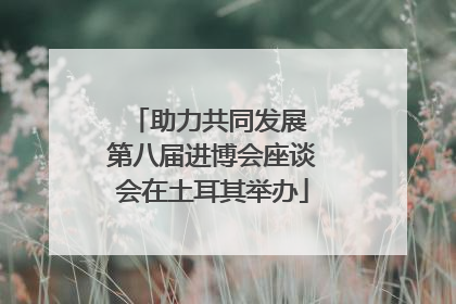 助力共同发展 第八届进博会座谈会在土耳其举办