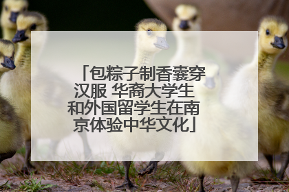包粽子制香囊穿汉服 华裔大学生和外国留学生在南京体验中华文化