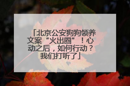 北京公安狗狗领养文案“火出圈”！心动之后，如何行动？我们打听了