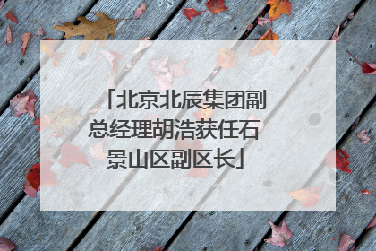 北京北辰集团副总经理胡浩获任石景山区副区长