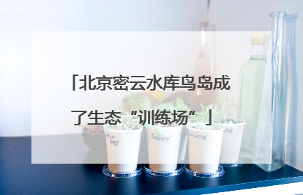 北京密云水库鸟岛成了生态“训练场”