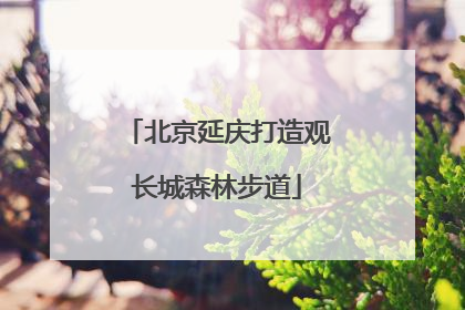 北京延庆打造观长城森林步道