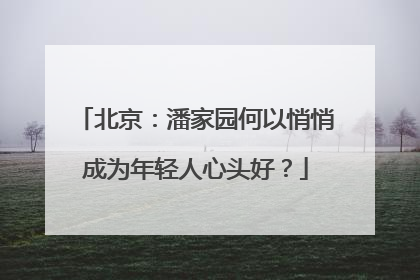 北京：潘家园何以悄悄成为年轻人心头好？