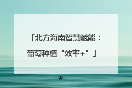 北方海南智慧赋能：葡萄种植“效率+”
