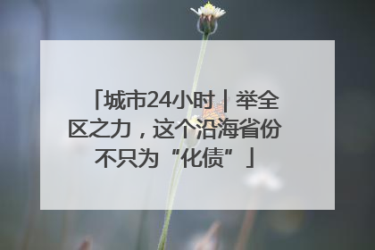 城市24小时｜举全区之力，这个沿海省份不只为“化债”
