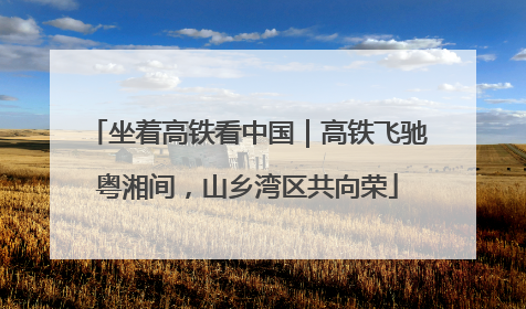 坐着高铁看中国｜高铁飞驰粤湘间，山乡湾区共向荣