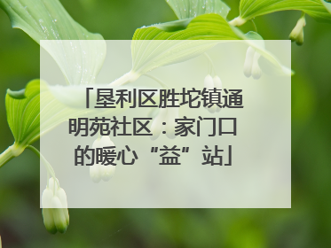 垦利区胜坨镇通明苑社区：家门口的暖心“益”站