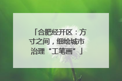 合肥经开区：方寸之间，细绘城市治理“工笔画”
