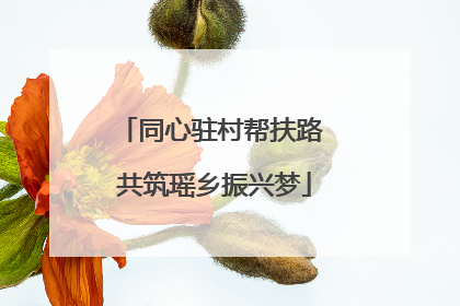 同心驻村帮扶路 共筑瑶乡振兴梦