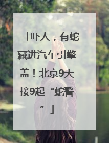 吓人，有蛇藏进汽车引擎盖！北京9天接9起“蛇警”