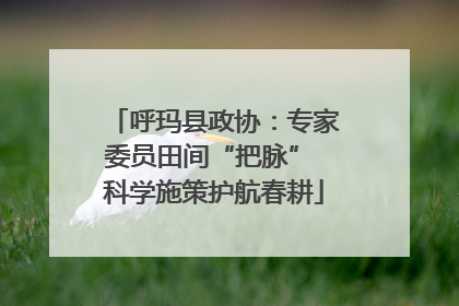 呼玛县政协：专家委员田间“把脉” 科学施策护航春耕
