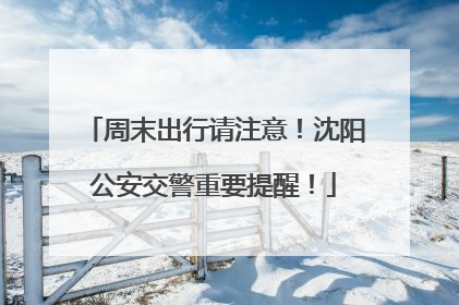 周末出行请注意！沈阳公安交警重要提醒！