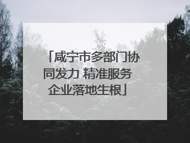 咸宁市多部门协同发力 精准服务企业落地生根