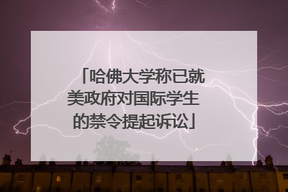 哈佛大学称已就美政府对国际学生的禁令提起诉讼